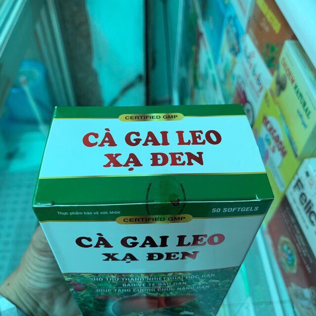 Cà gai leo xạ đen giải độc gan tăng cường chức năng gan hiệu quả hộp 60 viên