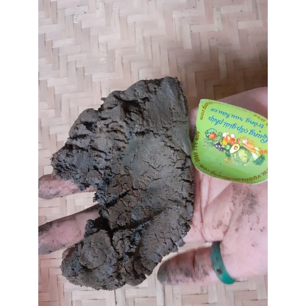 1kg Bùn Sạch Độ Ẩm 30-50% Trồng Hoa Sen, S.úng, Củ Ấu, Cây Thủy Sinh, Mùn Cao
