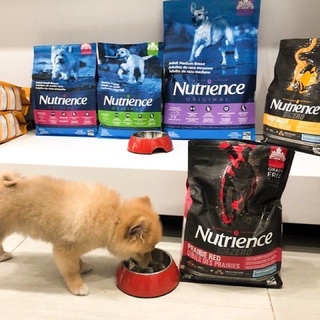 Hạt Nutrience SubZero Cho Chó Mọi Lứa Tuổi - Gà, Cá Hồi & Rau Củ Quả