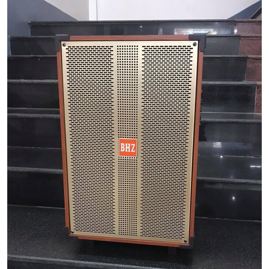 Loa karaoke giá rẻ  âm thanh cực hay, công suất lớn, giá rẻ tặng kèm 2 micro không dây