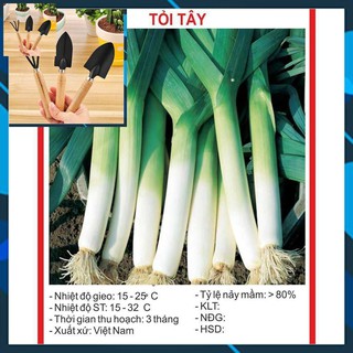 Hạt giống Tỏi tây 1gr TẶNG BỘ LÀM VƯƠN MINI