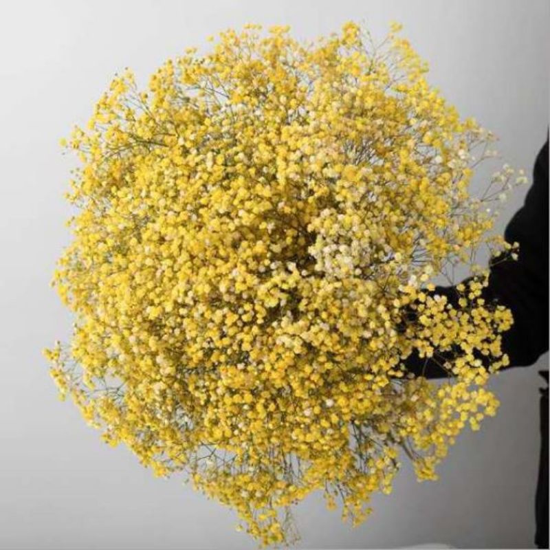 Bó Hoa baby khô , hoa giả trang trí decor make up mini chụp ảnh ướp làm đồ handmade 120g (6-7 cành)