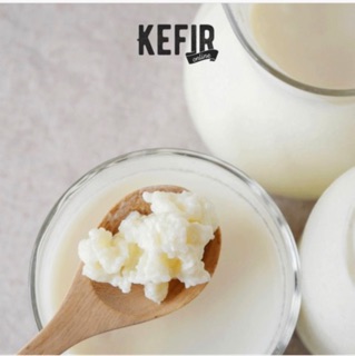 Nấm sữa Kefir làm sữa chua Kefir(100% thành công)