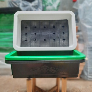 Combo 5 khay trồng rau chữ nhật 65*43*18cm