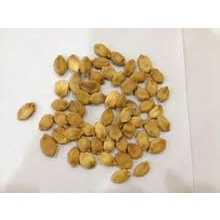 Hạt Giống Mướp Đắng(Khổ Qua) Siêu Trái F1(Gói 15 hạt)Dễ Trồng &amp;Siêu trái-Tổng kho hạt giống giá rẻ