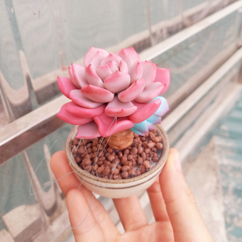 Sen thụ đất sét đẹp