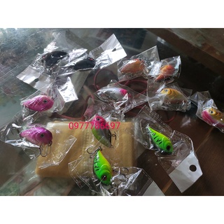 Mồi Câu Cá (Cá Voi Lưng Gù)