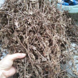 Thạch sương sáo đen