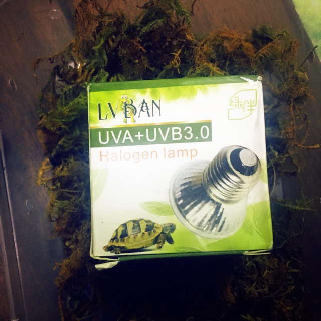 Bóng đèn mặt trời UVA + UVB 3.0