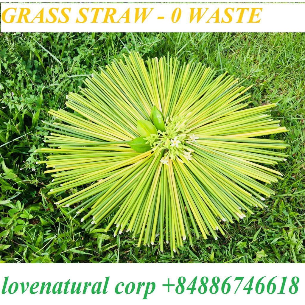 Love Natural Ống hút cỏ tre XK, Cửa hàng trực tuyến | BigBuy360 - bigbuy360.vn