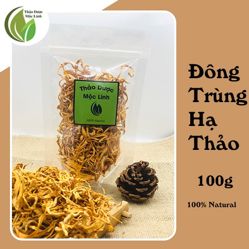 100g Đông trùng hạ thảo cao cấp, bồi bổ cơ thể tốt cho sức khỏe| Thảo Dược Mộc Linh