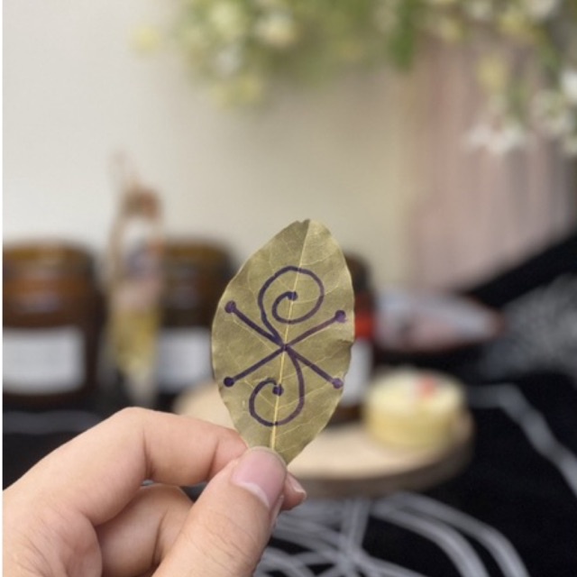 33 loại lá BAY LEAF SIGILS MAY MẮN | Sigil trên lá Nguyệt Quế