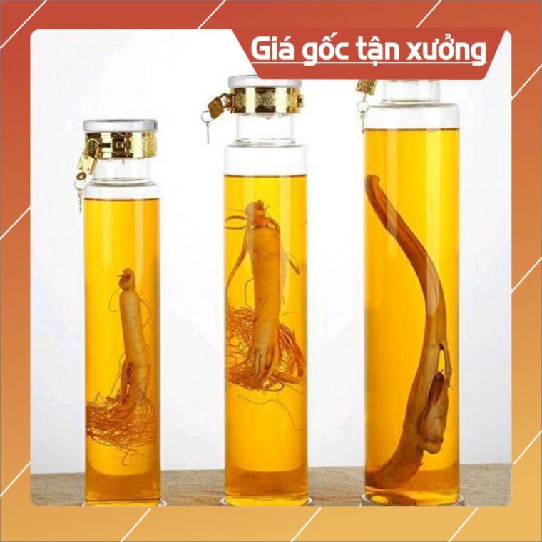Bình Ngâm Rượu Thủy Tinh Ngâm Sâm (1 Lít, 1.5 Lít, 2.5 Lít) Có Khóa*BAO BỂ VỠ*