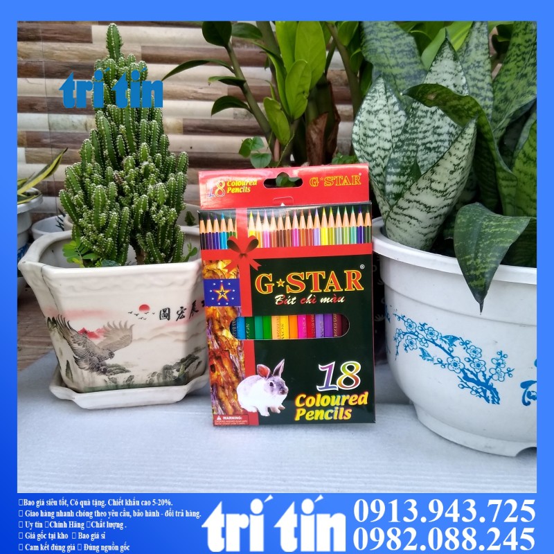 Bút chì màu G-Star 12-24 36   màu