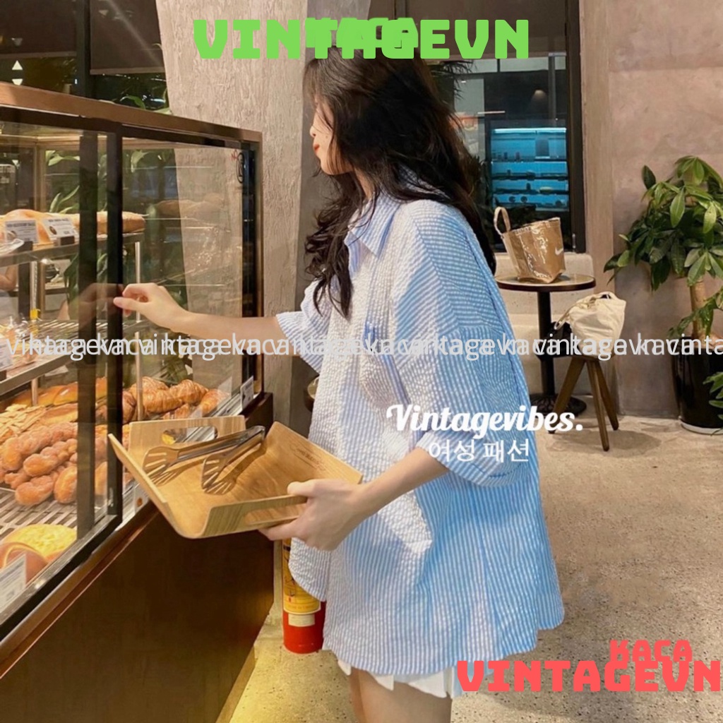 🚛[FREESHIP] Áo sơ mi Hàn Quốc dáng rộng kẻ sọc nhiều màu Ulzzang (hàng QC) - Ảnh thật 1000% kaca vintagevn | BigBuy360 - bigbuy360.vn