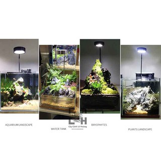 Đèn Led Kệ gỗ 5W - Đèn Led thủy sinh 5W