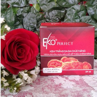 Kem trắng da đa chức năng EKO PERFECT 9g/15g/30g/50g