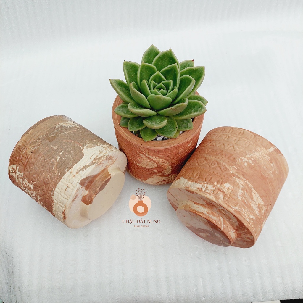 Chậu đất nung, Chậu sen đá - Trụ cổ xưa 1010, miệng chậu 10cm, chiều cao 10cm