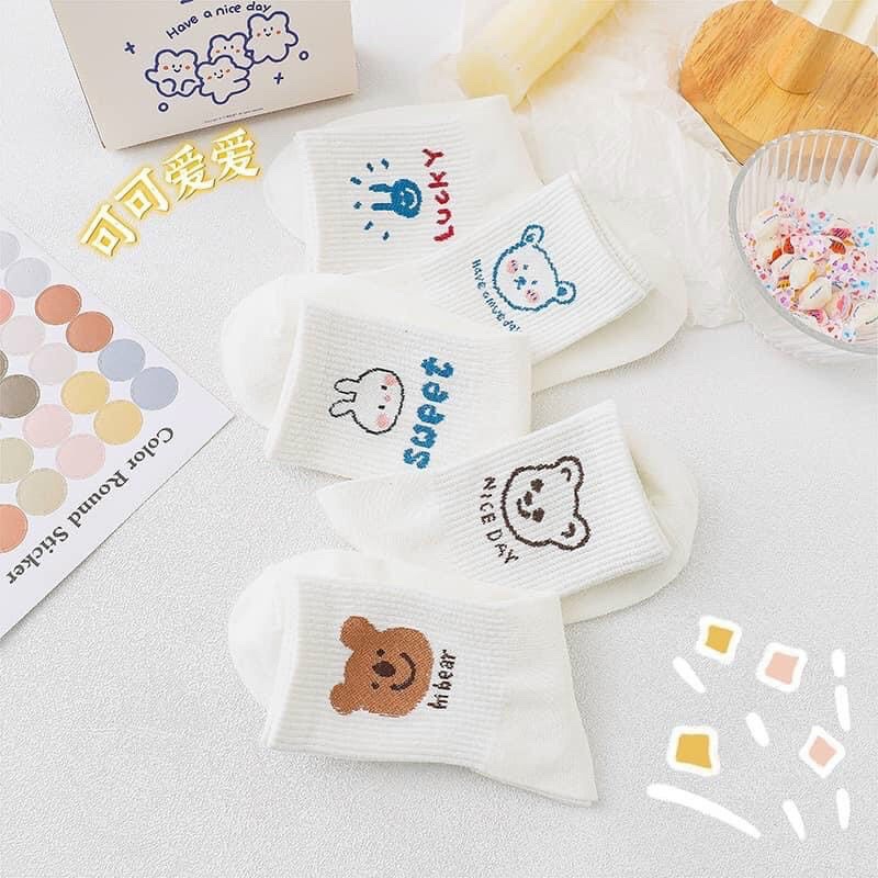 [GIÁ HUỶ DIỆT] Set Tất Gấu Thỏ Cute Chất Đẹp- Vớ Nữ Cổ Vừa