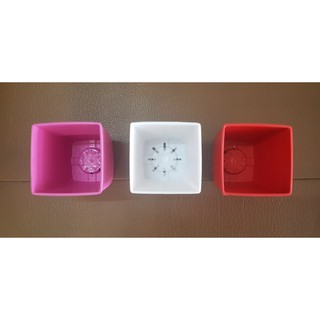 COMBO 5 CHẬU NHỰA CẮM HOA