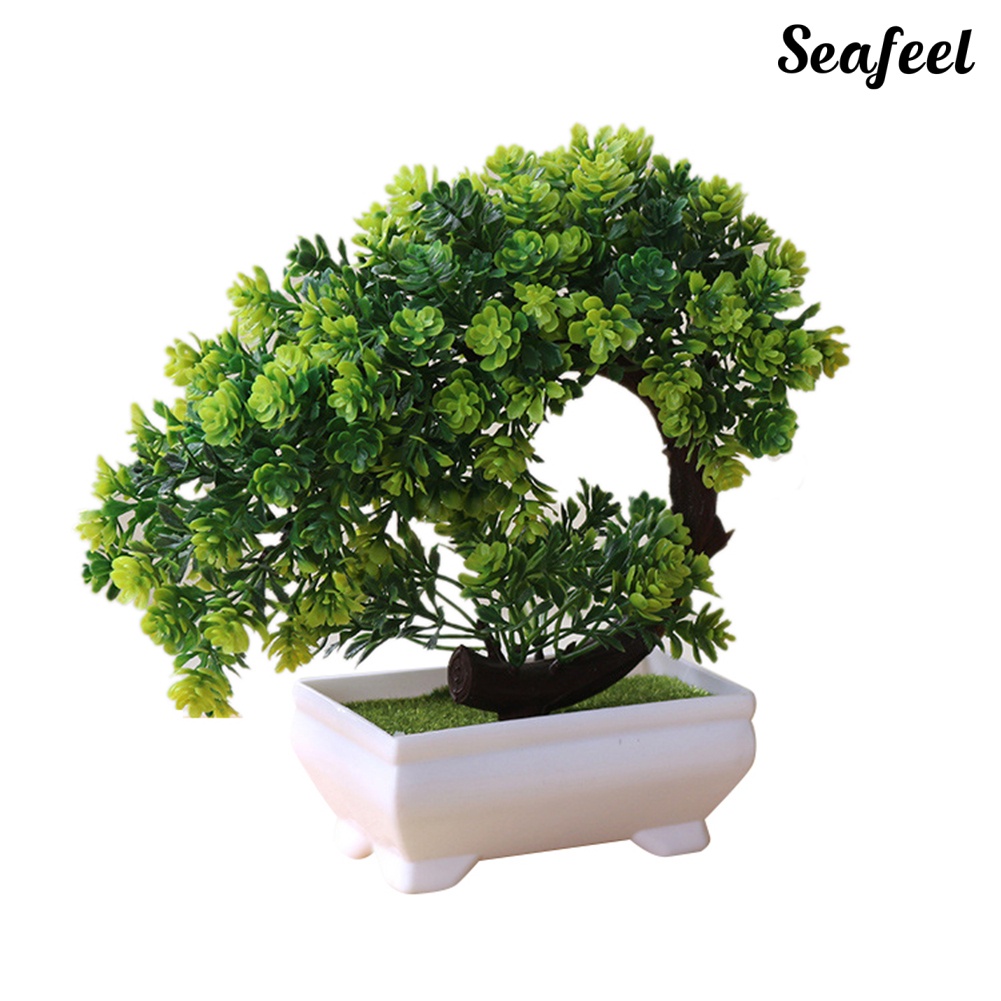 Chậu Cây Bonsai Giả Trang Trí Bàn