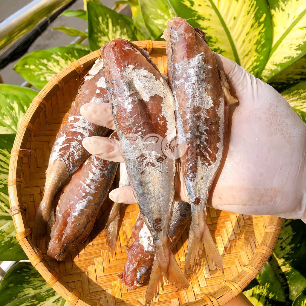 Cá Nục 1 Nắng Hạ Long khối lượng 0.5 kg - 1kg | Tinh Hoa Quê Nhà | BigBuy360 - bigbuy360.vn