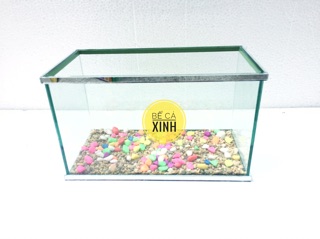 Bể cá mini viền gương ( tặng sỏi)