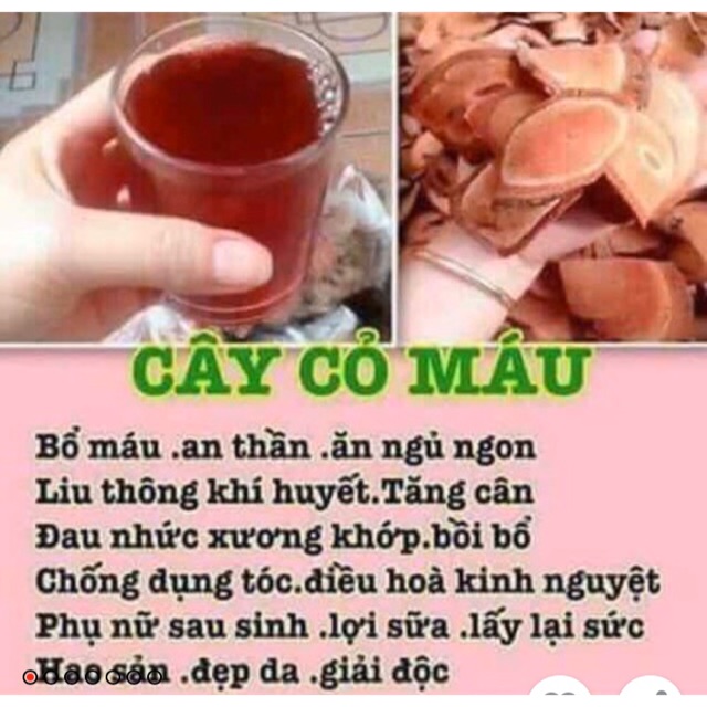 Cỏ máu-1kg