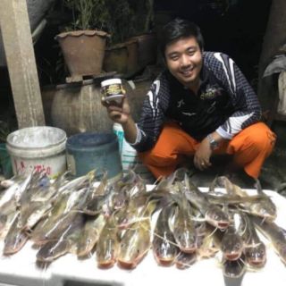 MỒI THUỐC CÂU CÁ LĂNG THAILAND