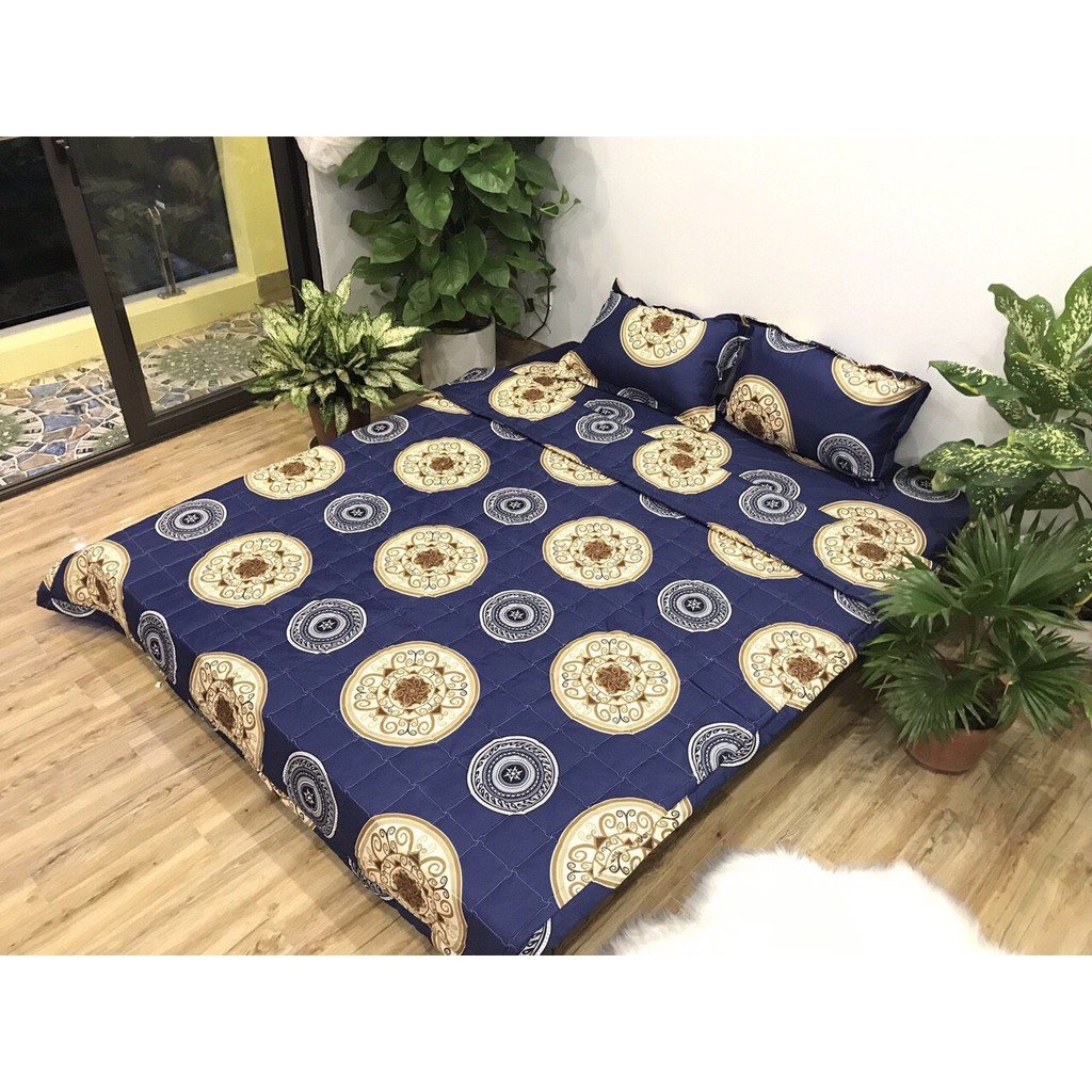 Bộ ga chun và 2 áo gối nằm Emmidecor -  mẫu đồng tiền xanh, drap cotton poly