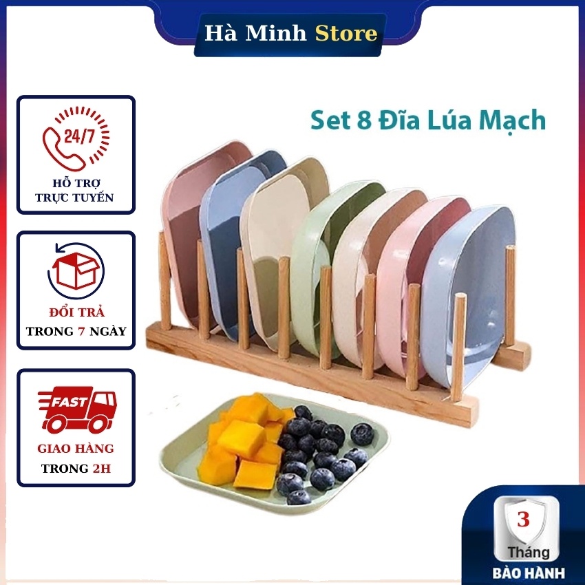 Sét 8 Đĩa Lúa Mạch Chữ Nhật, Màu Pastal, Siêu Xinh Siêu Siêu Ưu Đãi Đĩa Lúa Mạch Cao Cấp - Gia Dụng Hà Minh