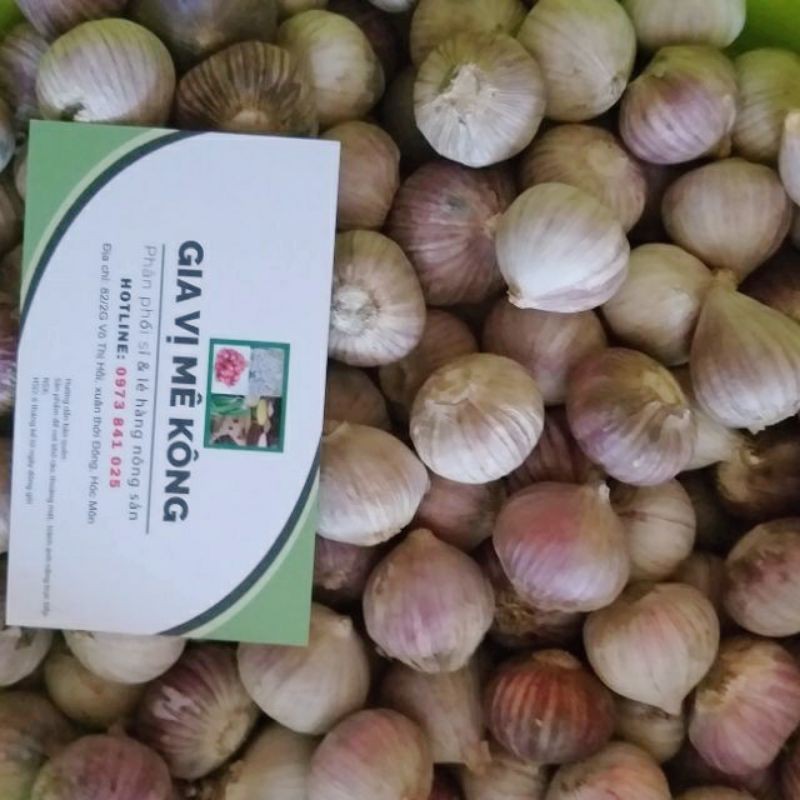 Tỏi Cô Đơn mini thích hợp dùng trong bữa ăn gia đình (size 4)