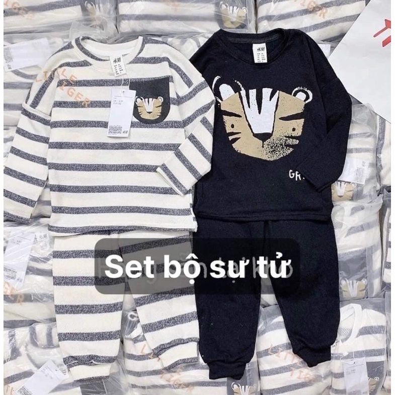 Set bộ sư tử