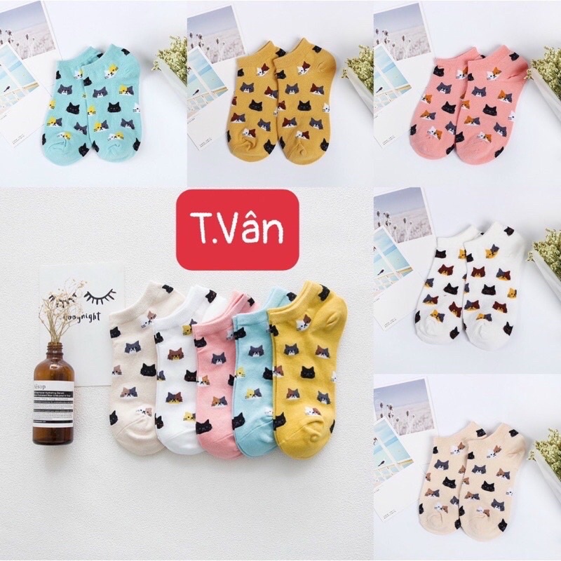 Sét 5 tất mèo có túi zip chất đẹp dễ thương