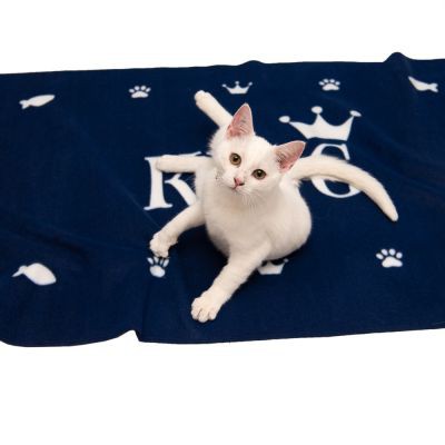 Kingsday chăn mềm màu xanh 140x70cm