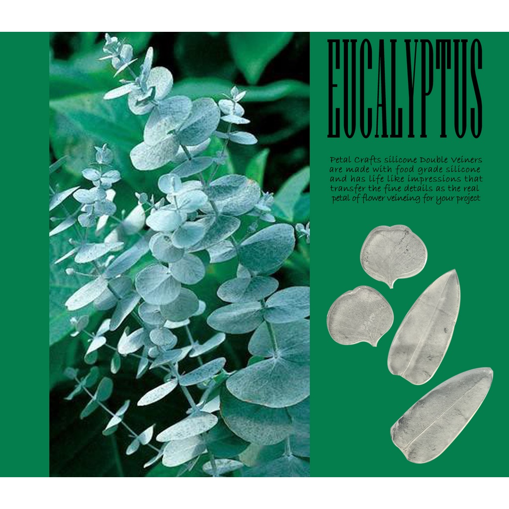 Eucalyptus Khuôn cắt vân hoa hai mặt lá khuynh diệp tạo hình trang trí bánh , hoa đất sét, hoa bánh fondant, sugarcraft