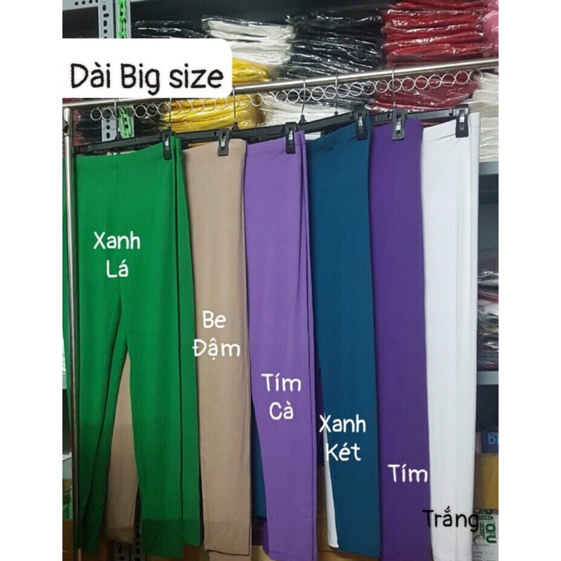 Quần Dài Legging Rainbow Thái Lan_Hàng chuẩn Thái 100% | BigBuy360 - bigbuy360.vn