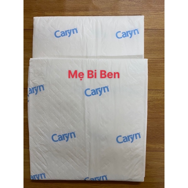 Tấm đệm lót Caryn size L - XL 1miếng