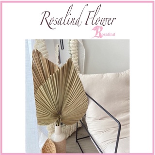 Cành cọ khô , lá nguyên - Trang trí nhà cửa, cửa hàng, Chụp ảnh, Phụ kiện trang trí ,lá cọ khô