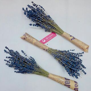 Lọ hoa lavender để bàn 100 cành
