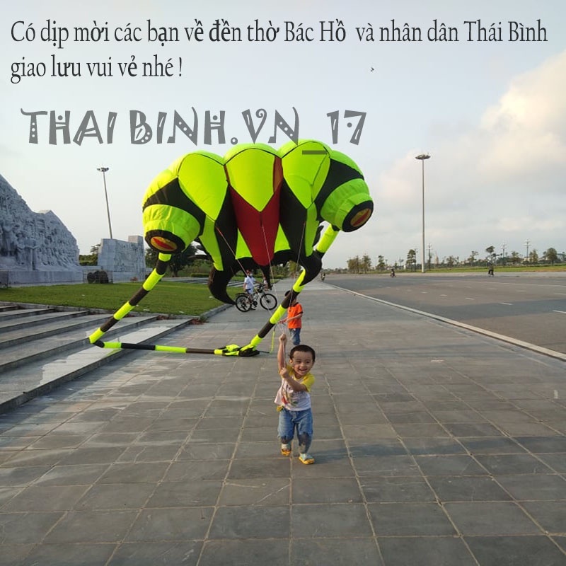 Diều Đầu Dế - Diều Khí Động Học Đầu Dế 7m2