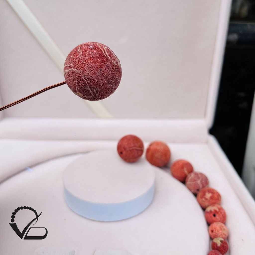 Hạt tròn San hô đỏ tự nhiên đủ size - Charm San hô đỏ xỏ Vòng tay Nam Nữ CNC VĂN BÉ