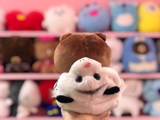 Gấu Brown 25cm
