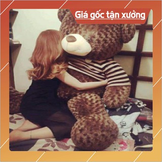 [Hàng Mớ] Gấu Bông Teddy Cao Cấp khổ vải 80cm Cao 60cm Màu nâu hàng VNXK – Gấu bông teddy xinh xắn