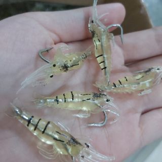 Mồi câu cá tôm nhảy
