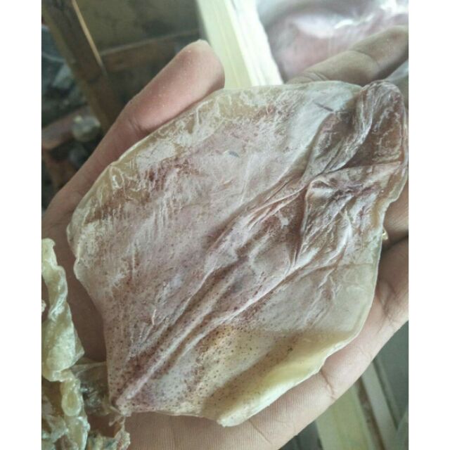 21 con khô mực ngon