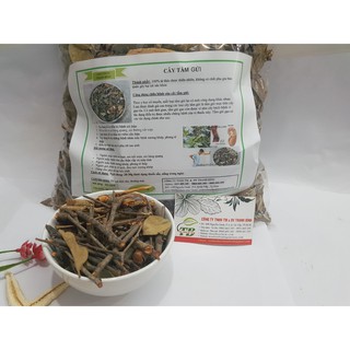 Cây Tầm Gửi Thanh BÌnh - Loại 1