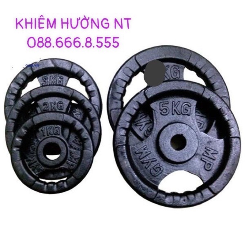 Tạ Đĩa miếng sắt tập Gym giá rẻ (10kg)