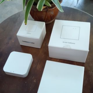 Hub zigbee Tuya / Smart Wifi - TYGWZW-01 (có link được với google home)