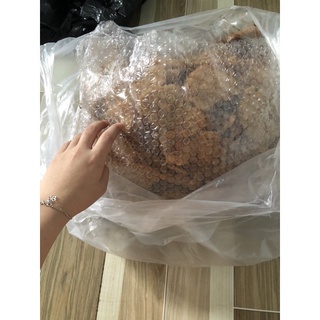 Combo 5kg cơm cháy bể L1